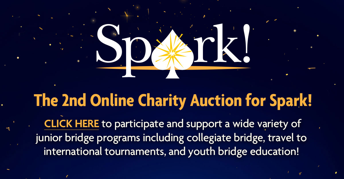 Uploaded Image: /vs-uploads/images/Spark-Online-Charity-Auction-TOP-1200w.jpg
